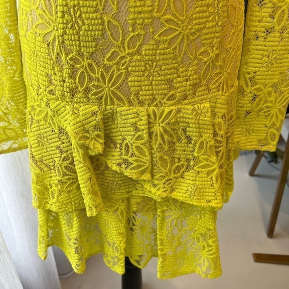 BCBGMAXAZRIA Embroidery Flower Lace Dress - Picture 4 of 12